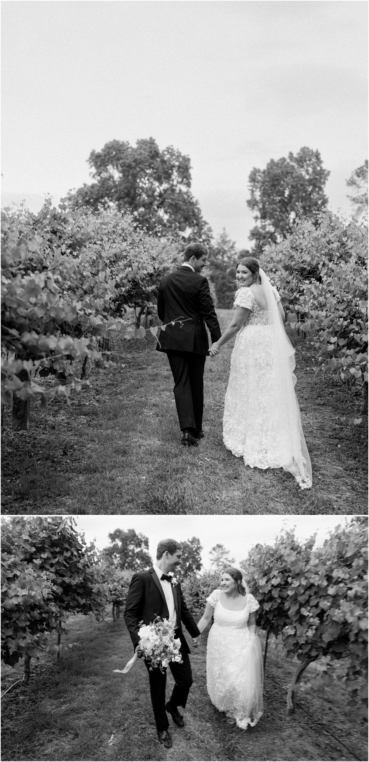 Bride and groom walking through the family vineyard together. Black and white blurry.