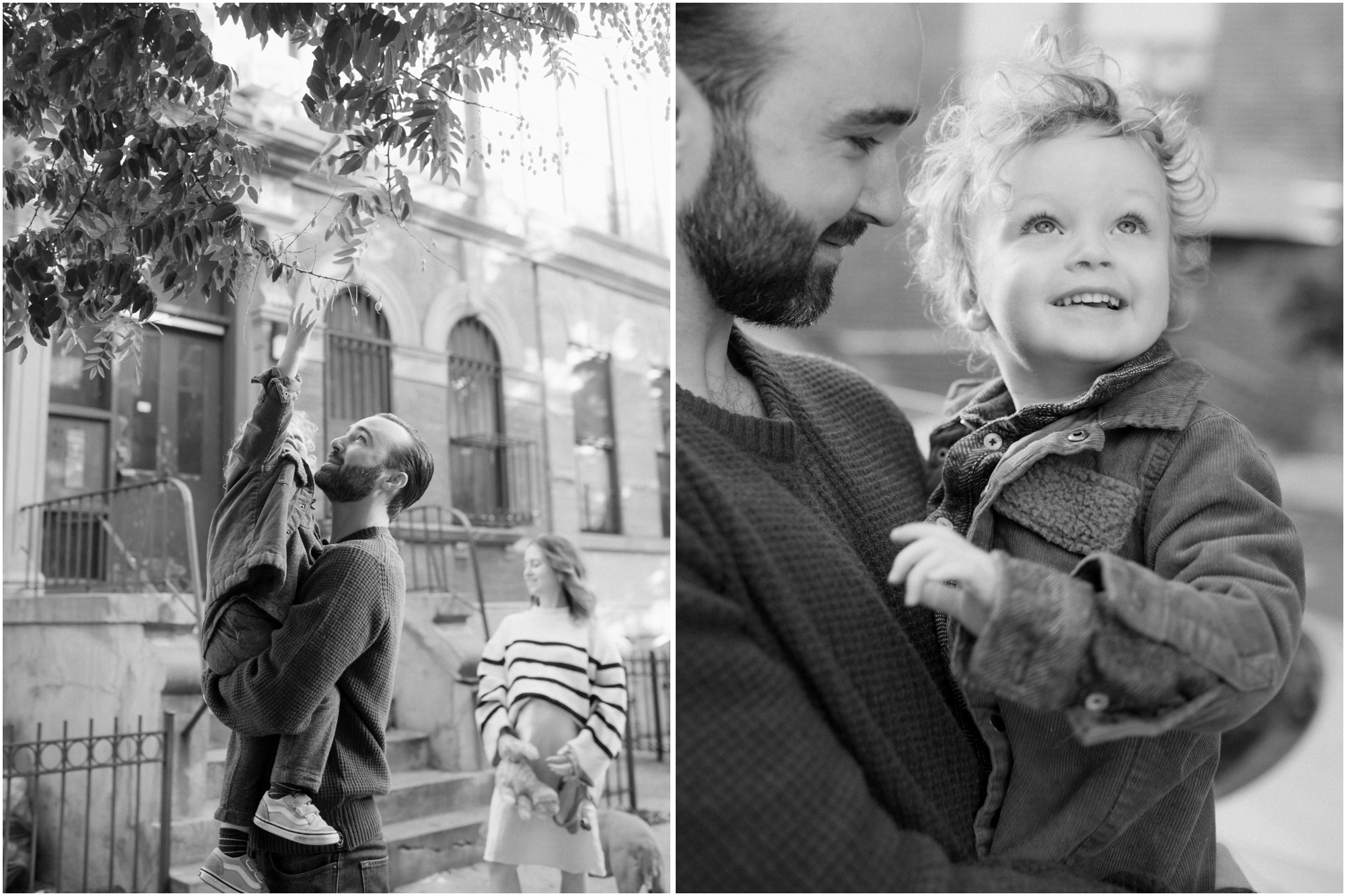black and white portraits of little boy and dad looking at a tree in Brooklyn, New York